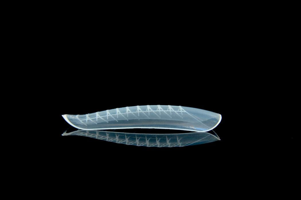 Dual Form Curva Natural