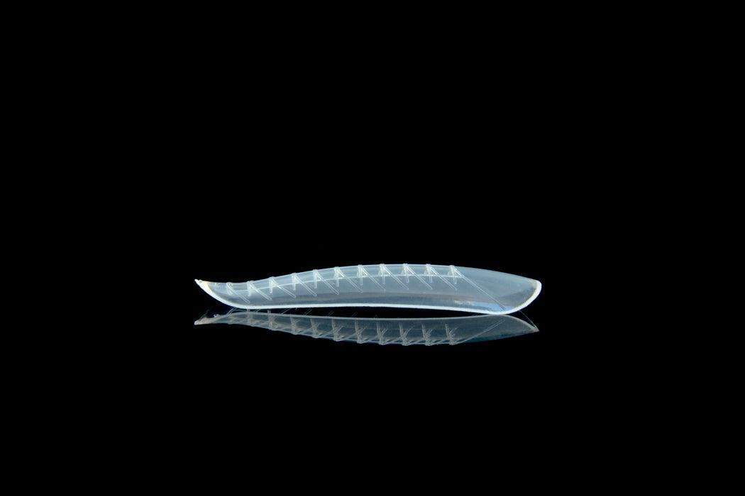 Dual Form Curva Natural