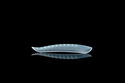 Dual Form Curva Natural