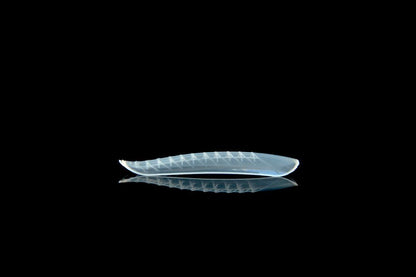 Dual Form Curva Natural